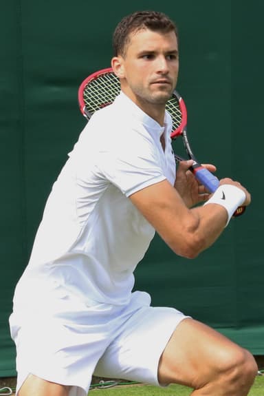 Grigor Dimitrov profile image