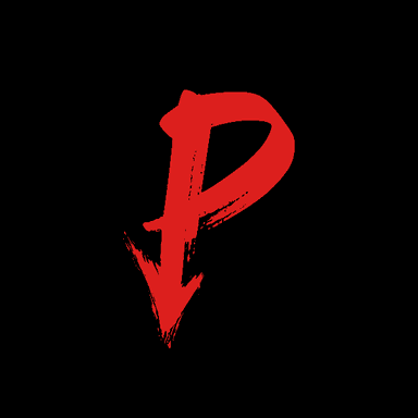 Piercer Esports profile image