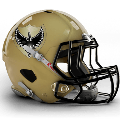 Solent Thrashers profile image