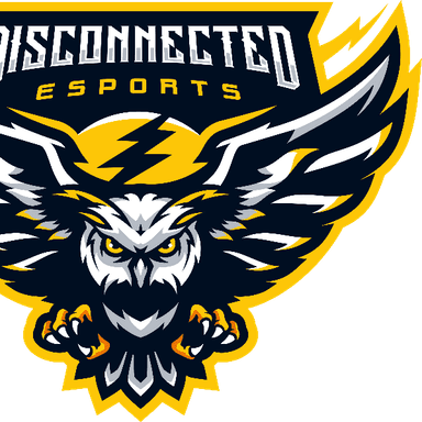 Disconnected Esports profile image
