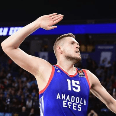 Vladimir Stimac profile image