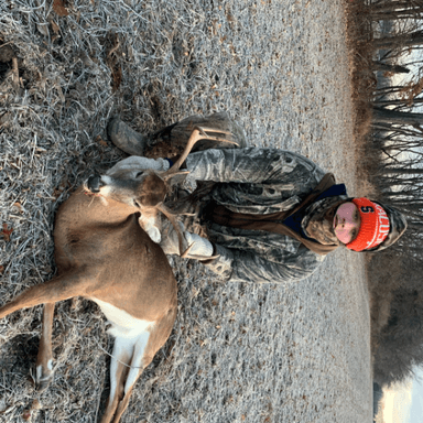 Dakota Davis profile image
