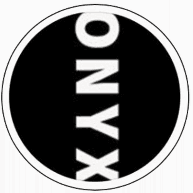 Team Onyx profile image