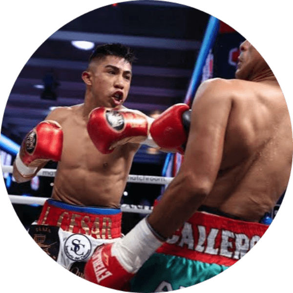 Boksado Boxing profile image