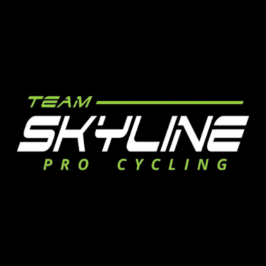 Team Skyline profile image