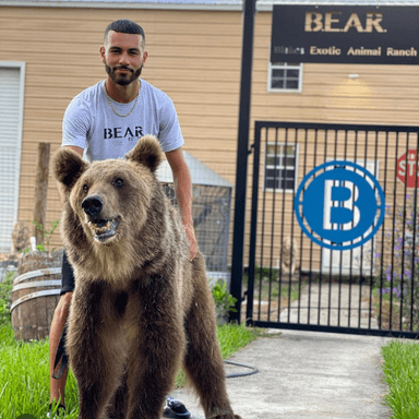 Blake Kaldirimglu profile image
