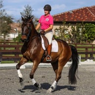 10993132_10155196722090263_5554457344403796637_o