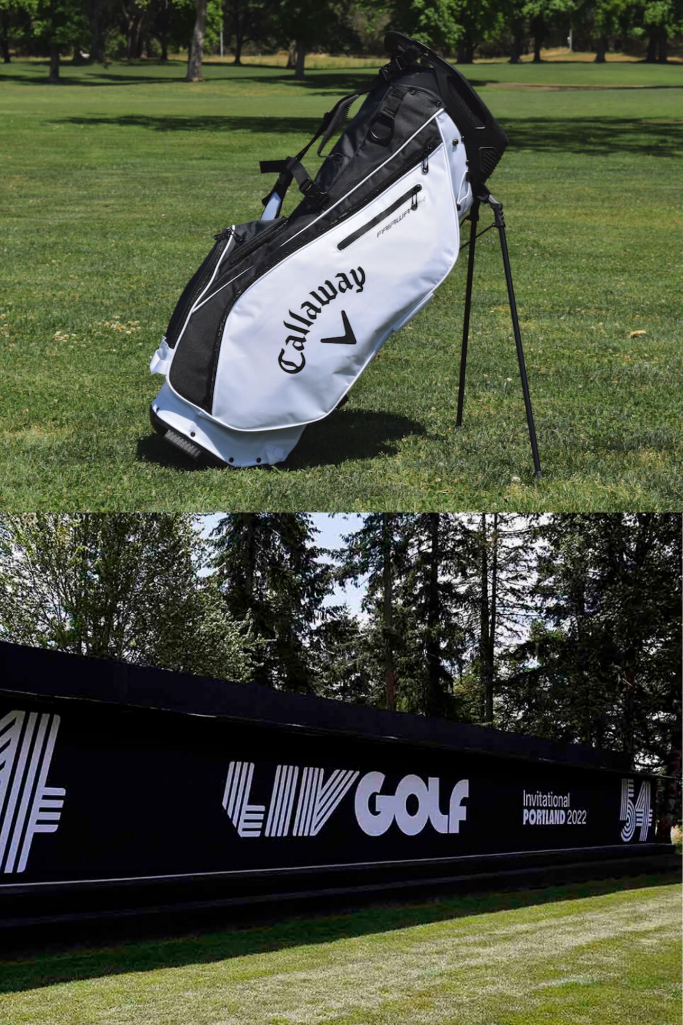 Driving Engagement How Premium Brands Leverage OpenSponsorship to Win the Golf Audience-3