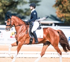 Image 5-14-24 at 12.10 AM