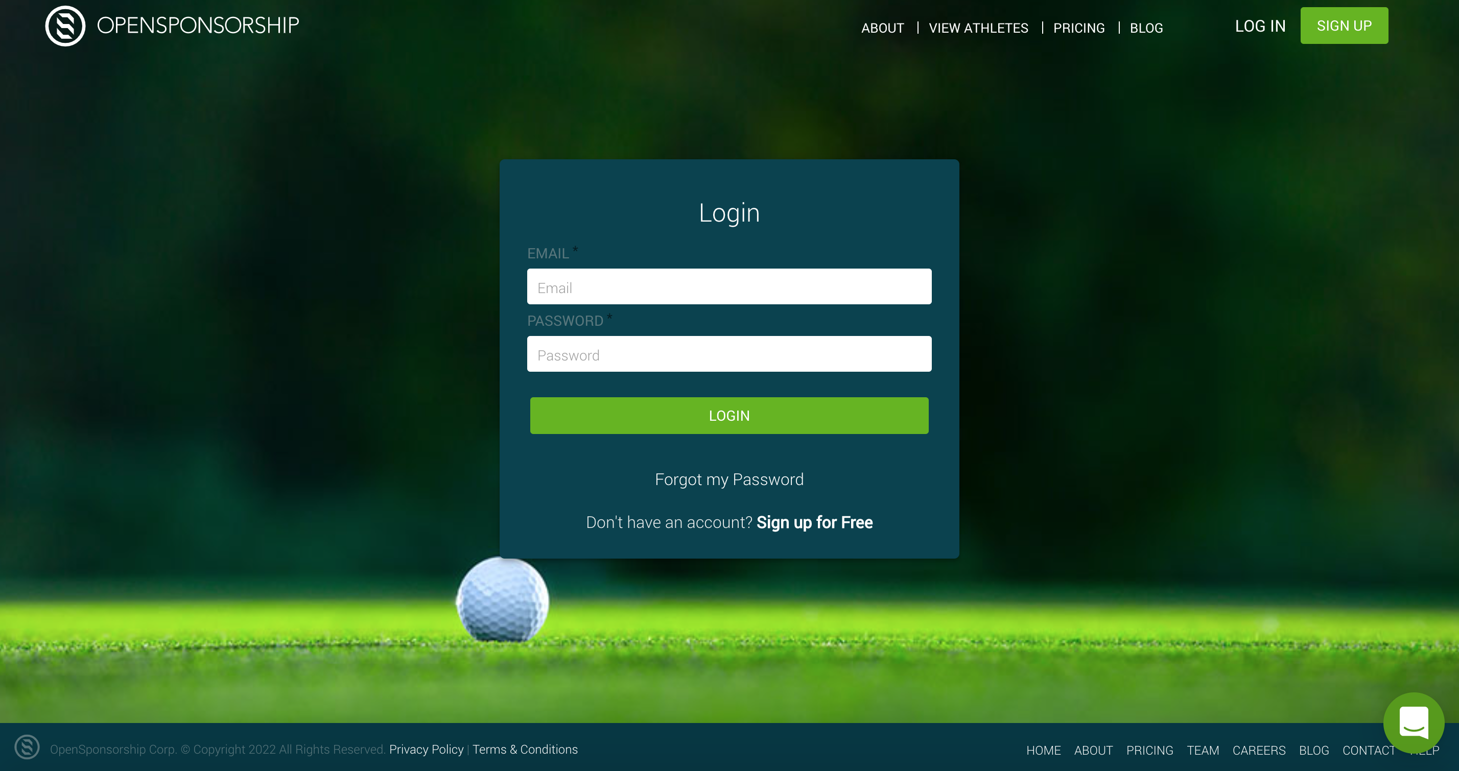 Screen Shot 2022-01-04 at 11.48.32 AM