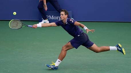 Vasek